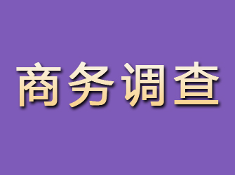 宜川商务调查